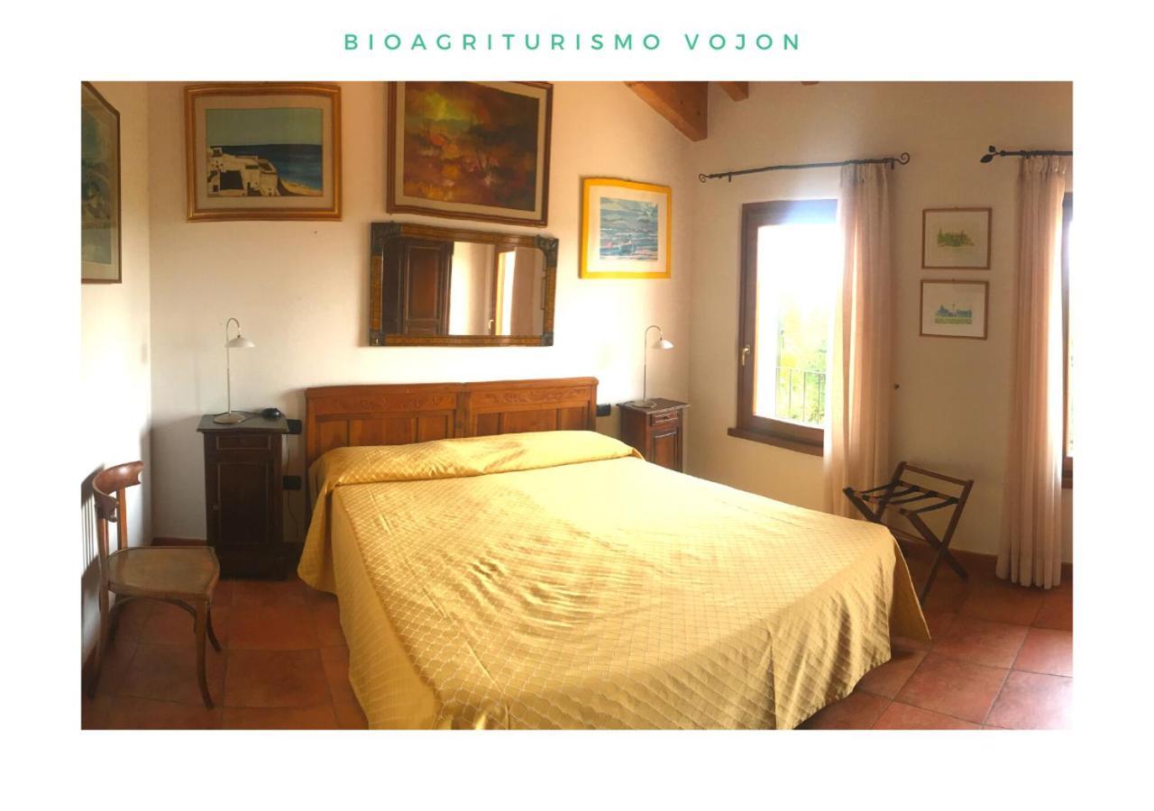 فيلا Bio Agriturismo Vojon بونتي سول مينشيو المظهر الخارجي الصورة